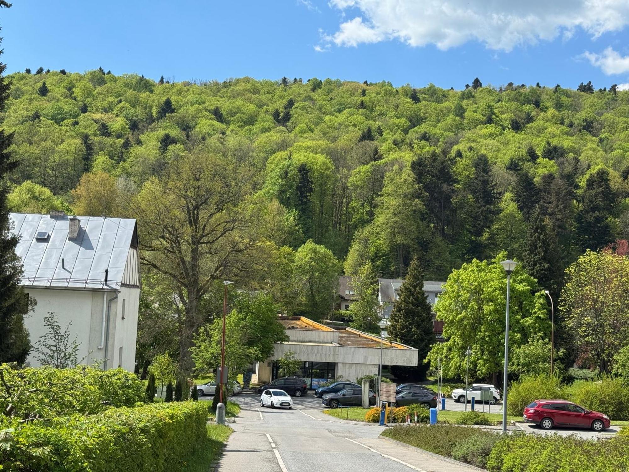Penzion Zornicka Бардеевские Купели Экстерьер фото